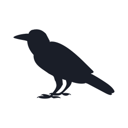 corbeau noir