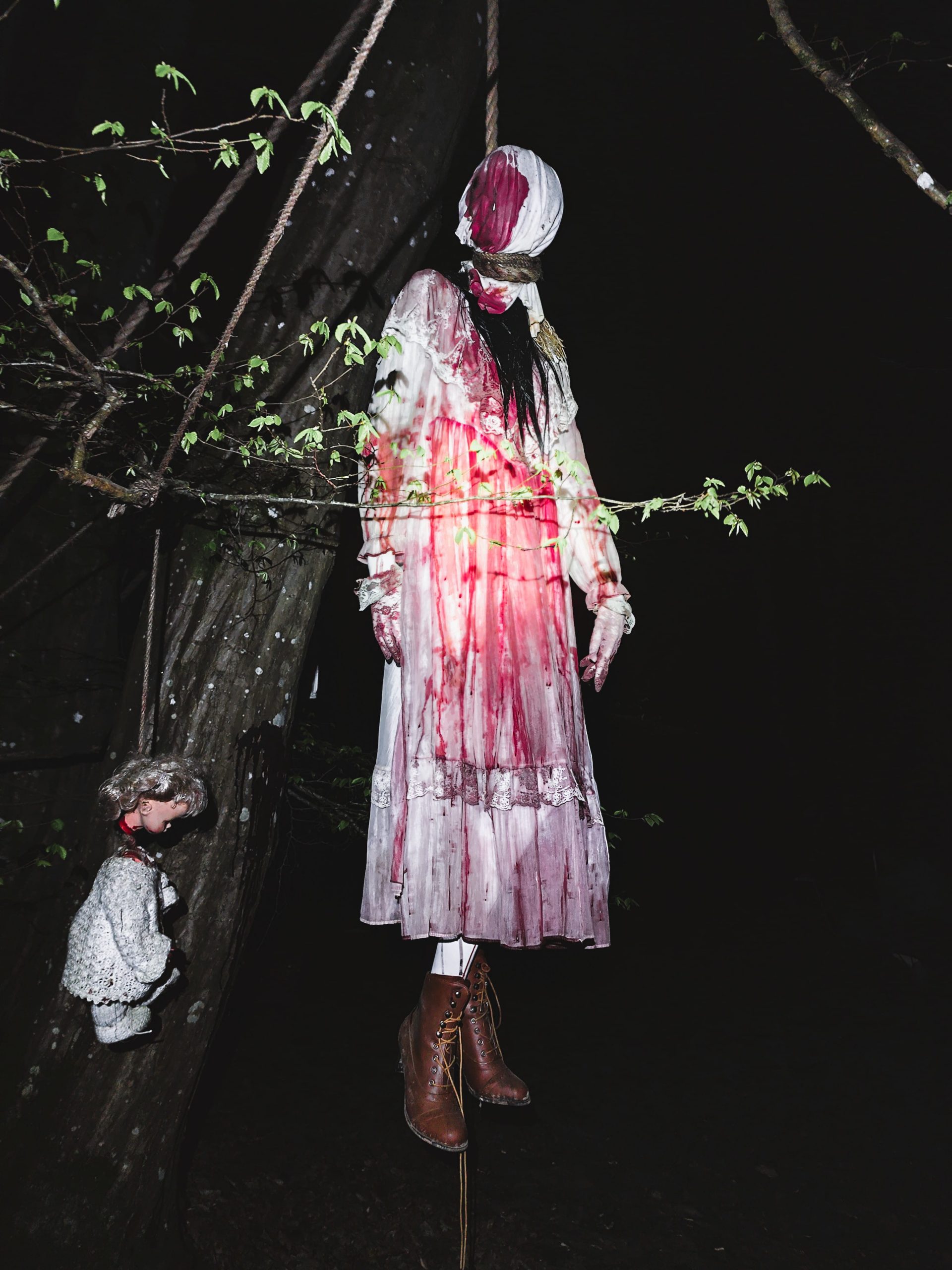 Rose fille de la baronne