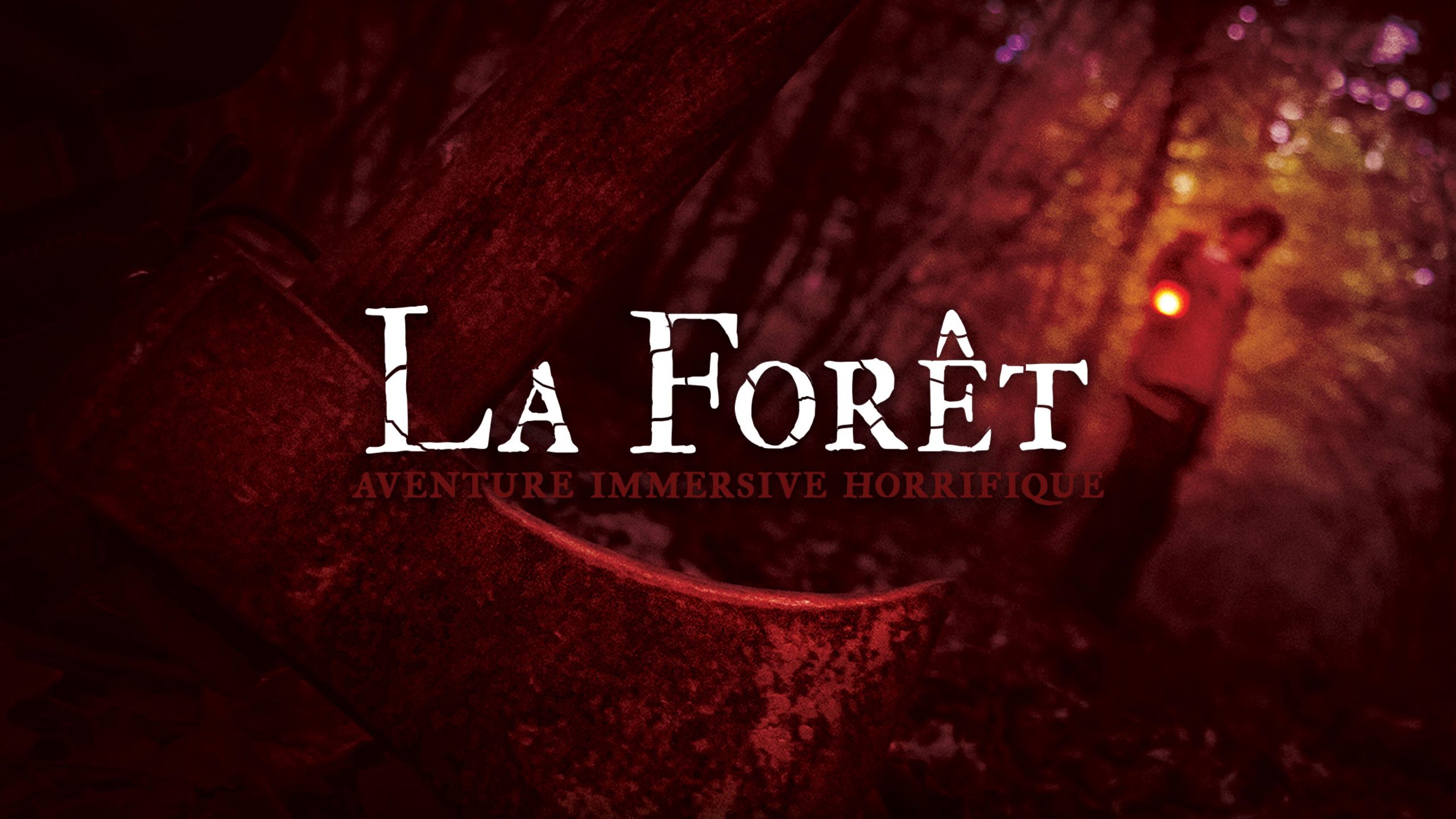 La foret aventure
